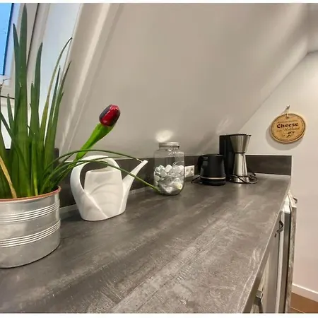 Apartment Magnifique Logement 4 Personnes Colroy-la-Roche
